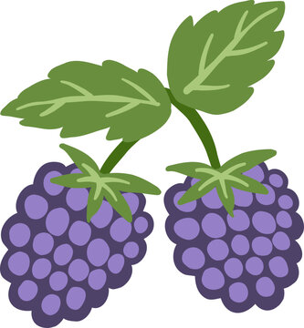 cute blackberry fruit vector cartoon illustration