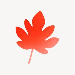 Fototapeta premium Red maple leaf silhouette design.