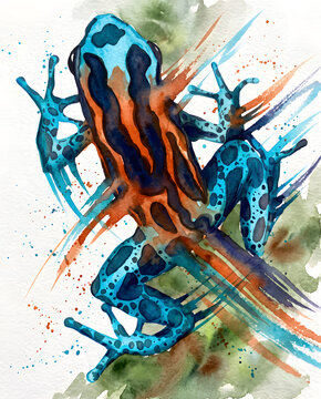 Poison Dart Frog