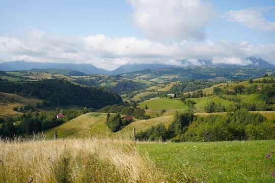 Scenic Landscape with Rolling Hills and Meadows near Brasov, Romania