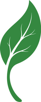 Simple green leaf icon with organic shape and clean lines for nature and eco design