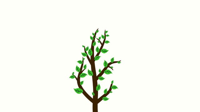 Tree growing with green leaves on transparent background. Ecological growth graphic animation overlay element.