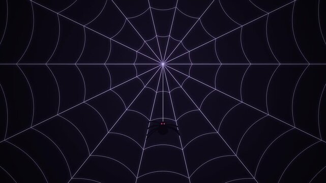 Spider Hanging from Web in Darkness with Glowing Red Eyes Animation