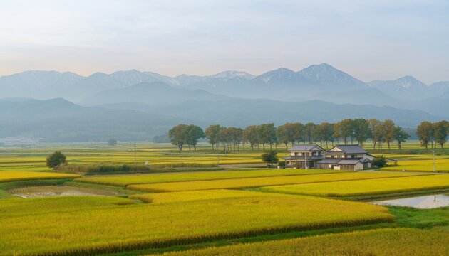 田んぼ風景」の写真素材 | 663,539件の無料イラスト画像 | Adobe Stock