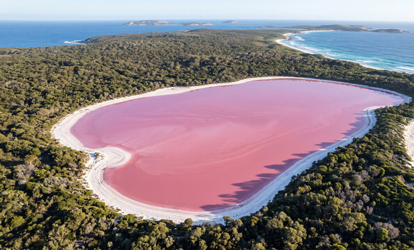 Lake Hillier Pink Lake Shoreline Patterns from Above