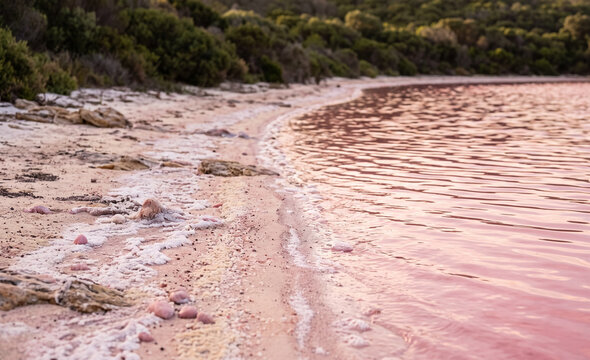 Vivid Pink Waters of Lake Hillier with Natural Shoreline Detail