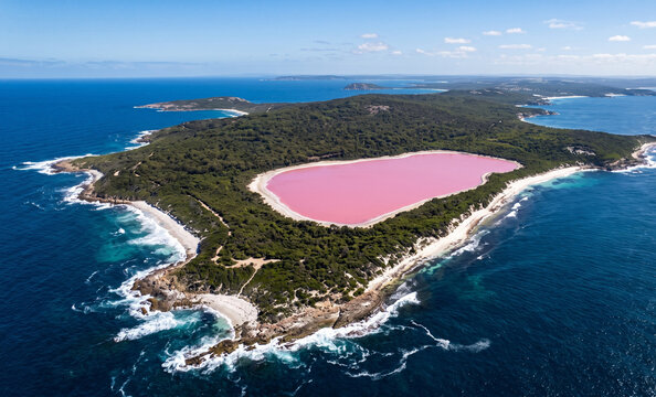 Lake Hillier Pink Salt Lake Aerial Panorama on Middle Island, Australia