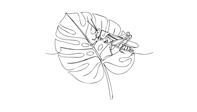 Abstract continuous line art grasshopper on leaf vector illustration minimalist nature icon
