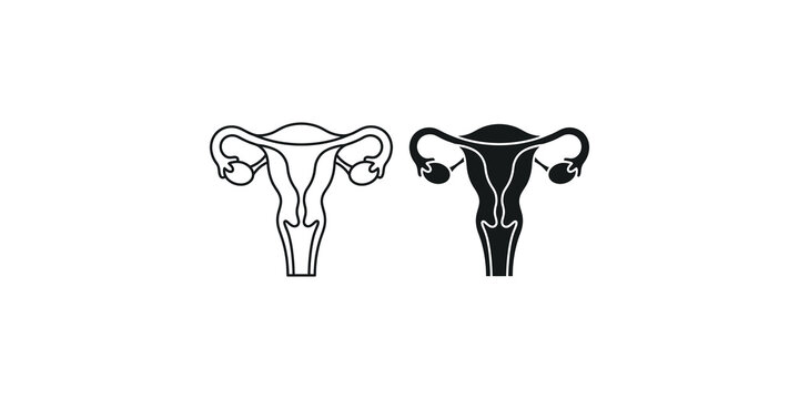 Outline and filled silhouette of female reproductive system for medical concepts.