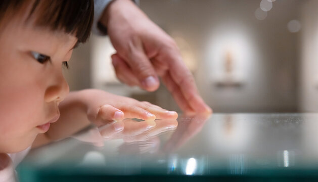 Child Observing Artifacts in Museum with Adult Hand Nearby