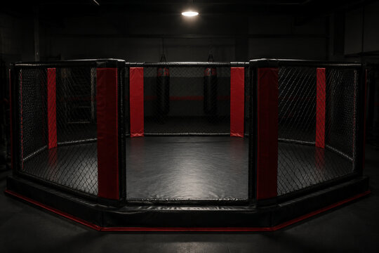 Empty octagonal MMA cage with punching bags in dim gym, combat sports training space