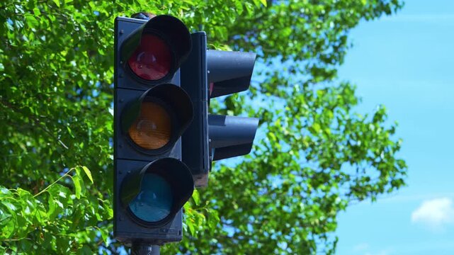 A traffic signal displays a glowing amber light against a backdrop of swaying green tree leaves and a clear blue sky, then the light fades off.