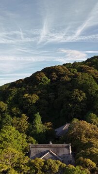 オーセンティックな日本の絶景・深い森と寺院の空撮 / Authentic Japanese Spectacular View Drone Aerial of Deep Forest and Temple