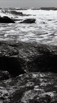 A serene black and white  of the ocean with waves crashing against the shore