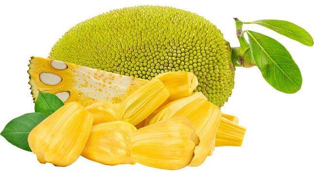 jackfruit, whole jackfruit, jackfruit fruit, jackfruit PNG, fresh jackfruit, ripe jackfruit, jackfruit slices, sliced jackfruit, png