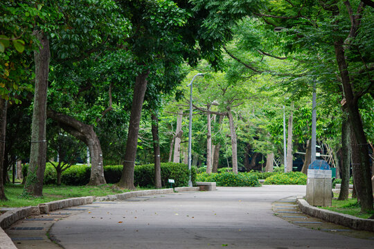 Lush green public park with a paved walkway winding through mature shade trees and manicured hedges on a bright day.