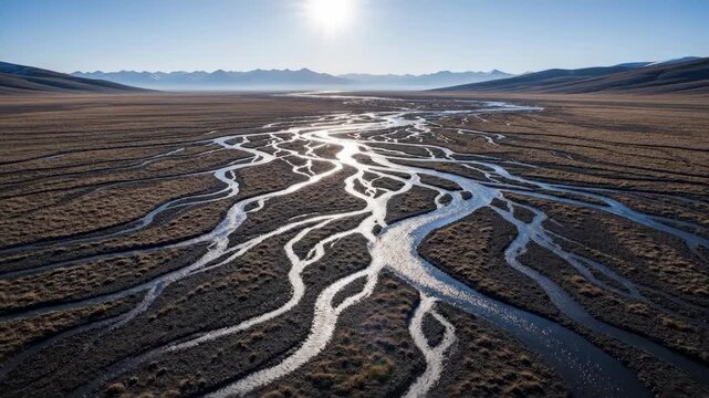 Aerial view of a stunning braided river system winding through a vast, arid plain.