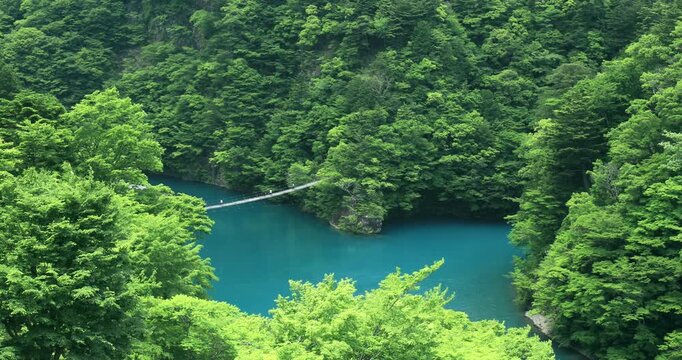 寸又峡の夢の吊橋