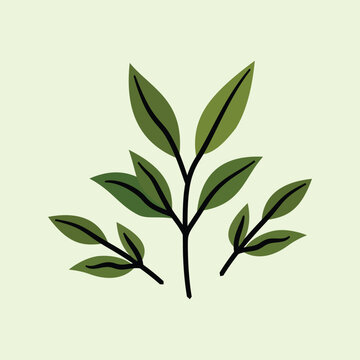 A fresh green tea plant branch with leaves vector illustration. Ideal for botanical, herbal tea, organic product, health, environment, and nature graphic design projects.