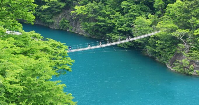 寸又峡の夢の吊橋