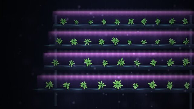 Vertical Farm Hydroponics Grow Racks Seamless Loop