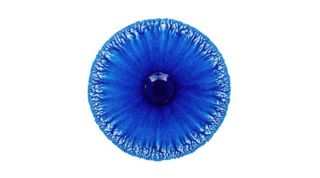 Blue iris texture splash on transparent background.