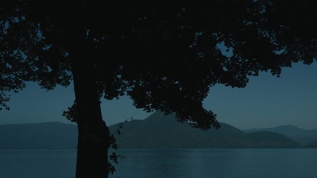 A large tree silhouette with the blue silhouette of Nakajima Island in Lake Toya in the background.