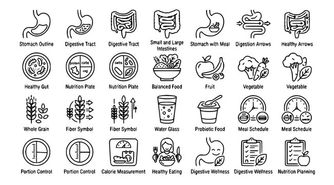 Modern digestive system and diet icons with stomach nutrition healthy food and gut wellness vector set