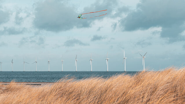 Kite Flying Over Offshore Wind Farm, Golden Dune Grass Coast