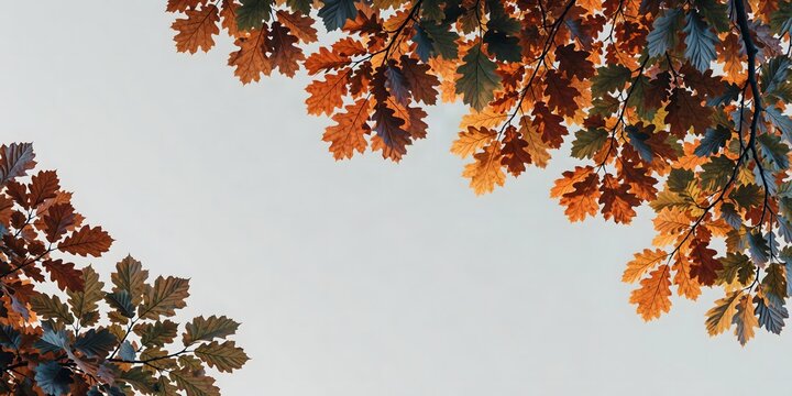 Autumn Leaves Framing a Clear Sky with Spacious Copy Space