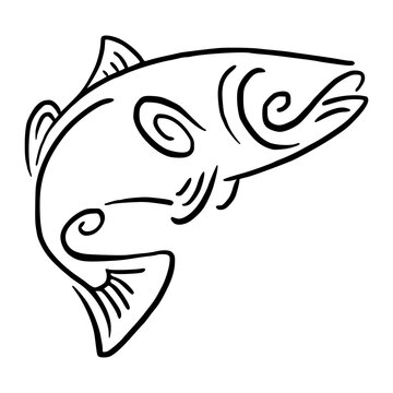 swirl line salmon fish illustration