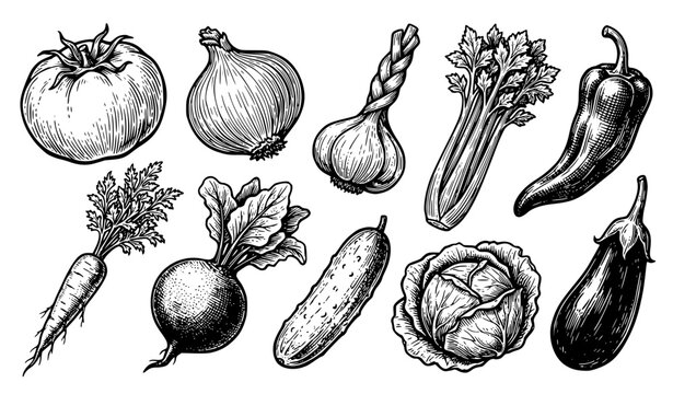 Organic farm vegetables antique wood engraving black stamp vector set