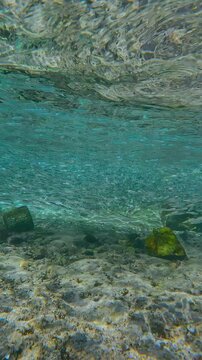 Forward-moving shot approaching massive, unbroken chain of Atherina fish. Silver flow stretches to horizon over sandy-rocky seabed dense, shimmering massive chain of Silverside swarm