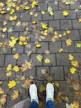 Person feet walk on path with yellow leaves scattered on the ground in city area
