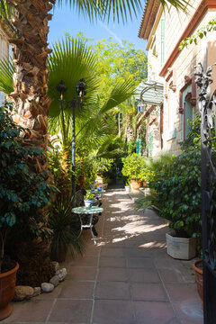 Charming Mediterranean Garden Courtyard with Palm Trees and Terrace Furniture in Sitges, Spain