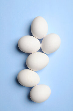 Half Dozen White Hen Eggs