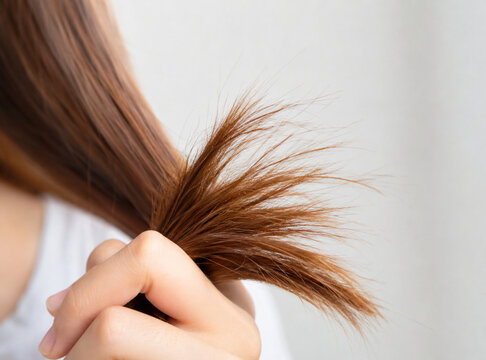 Split ends hair damaged 