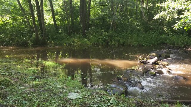 Peaceful river flowing through a lush green forest landscape  