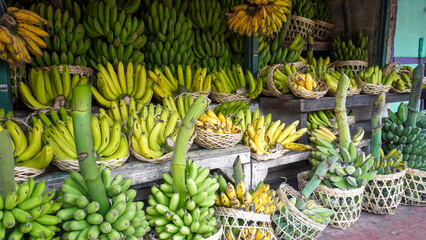 Obraz premium Fresh ripe and green bananas arranged in woven bamboo baskets at a traditional Asian fruit market stand. Organic tropical harvest stacked neatly on wooden shelves for local street market sale.