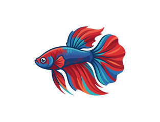 Fototapeta premium Vibrant siamese fighting fish with flowing fins underwater