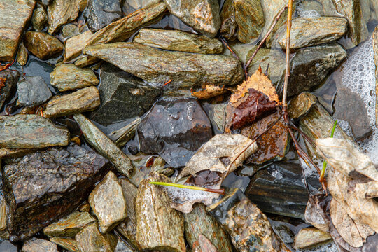 Close-up of wet river stones and fallen autumn leaves in shallow water, background, texture