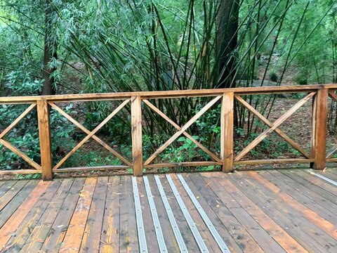Wooden Deck with Railing in Lush Green Forest