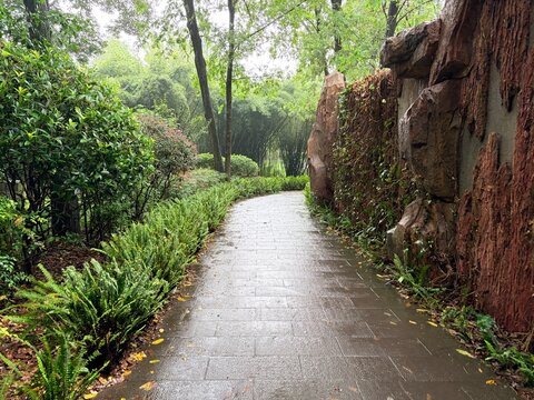Wet Stone Pathway Through Lush Green Garden