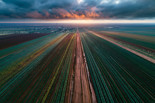 Aerial View of Farmland and Crop Fields at Sunset