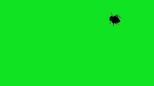 Numerous black cockroach silhouettes crawl across a vibrant green screen background