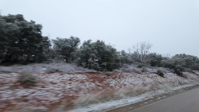 Snow covered woodland beside a rural road seen from a moving vehicle during overcast winter weather