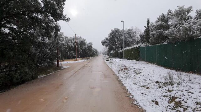 Snowy rural dirt road bordered by trees fences and street lights during steady winter snowfall