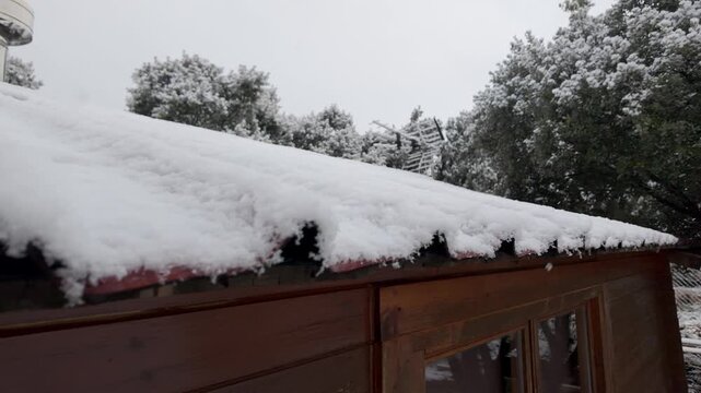 Close view of snow accumulated on a wooden shed roof during cold winter snowfall among trees