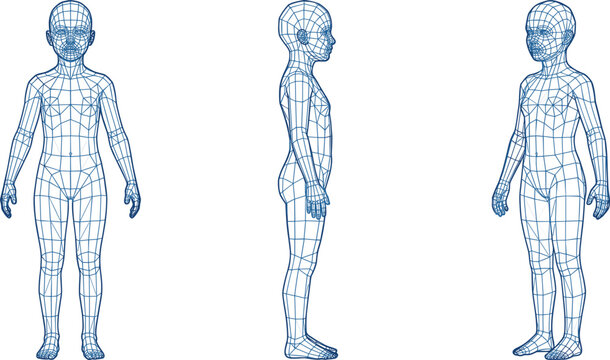 Child Human Body 3D Wireframe Blueprint Vector Set with Front, Side, and Perspective Orthographic Views for Medical, Anatomy, and Animation Modeling Diagrams