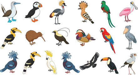 Fototapeta premium Exotic birds vector illustration set featuring realistic cartoon icons of toucan, parrot, puffin, hornbill, kiwi, and diverse tropical wildlife species for nature designs.